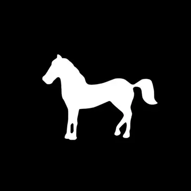 The Stone Pony