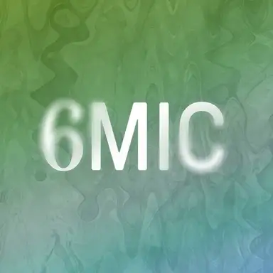 6MIC