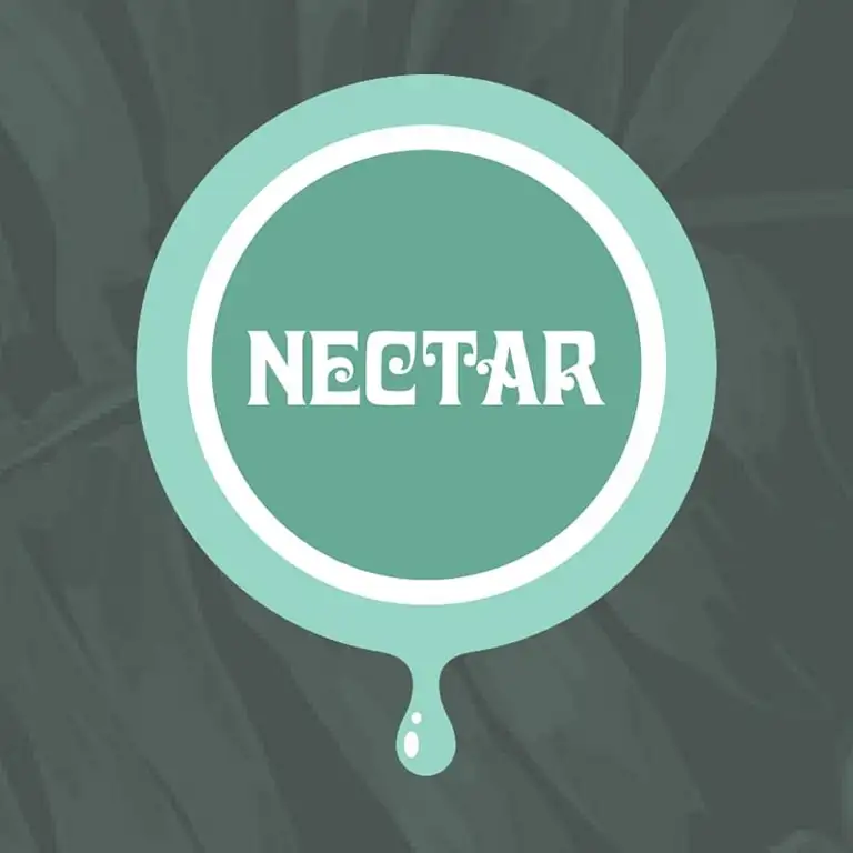 Nectar Lounge