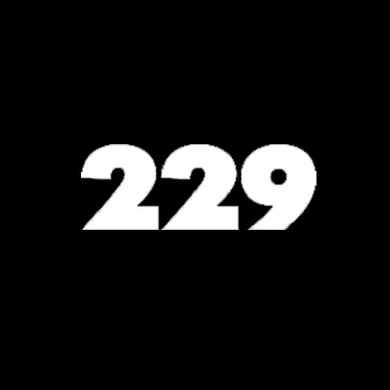 229