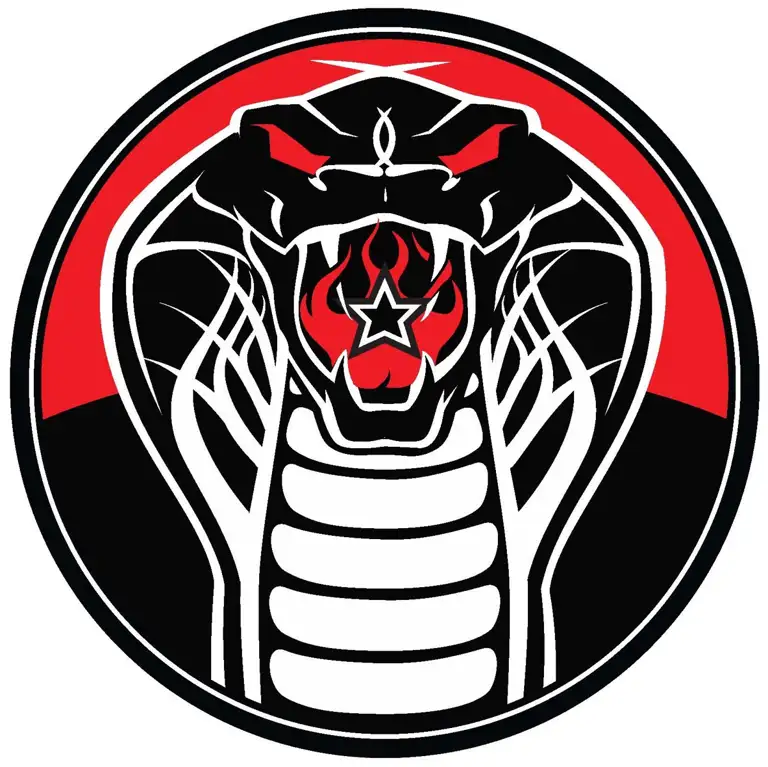 Cobra Lounge