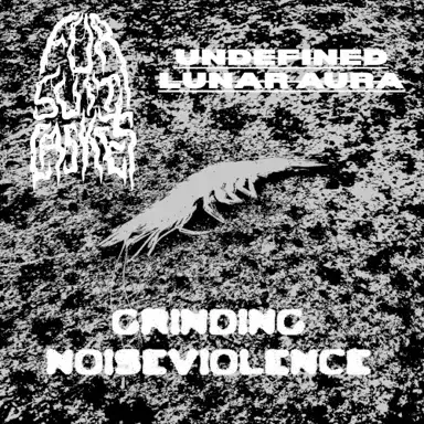 Fursuit Casket X Undefined Lunar Aura Split: GRINDING NOISEVIOLENCE (ULA Side)