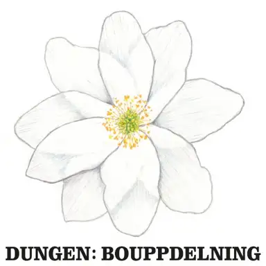 Bouppdelning