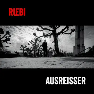 Ausreisser