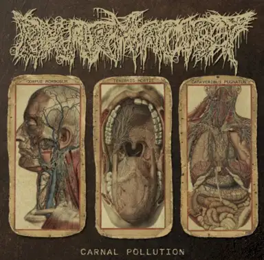 Carnal Pollution