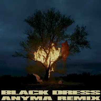 Black Dress (Anyma remix)