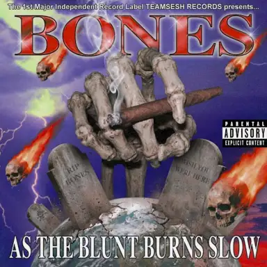 AsTheBluntBurnsSlow