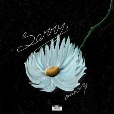 Sorry,
