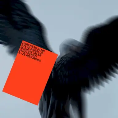 Darkness in Me (AN21 remix)