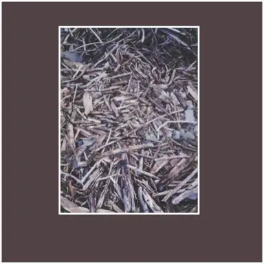 A Photograph of Wood