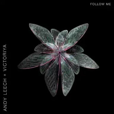 Follow Me