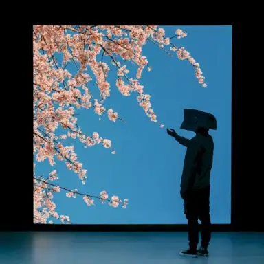 Modern Life Is Lonely