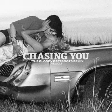 Chasing You (The Bloody Beetroots remix)