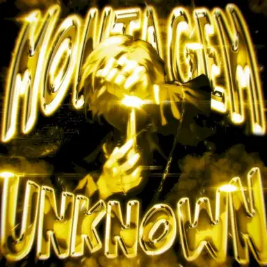 MONTAGEM UNKNOWN (Remixes)
