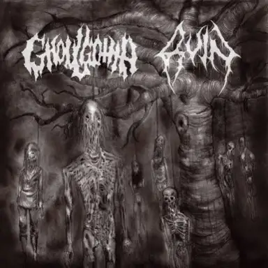Churning in Vertebraes / Becoming Disease