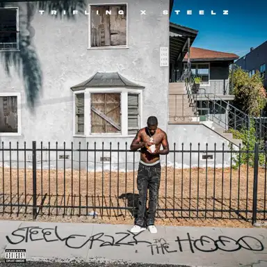 Steel Crazy In The Hood