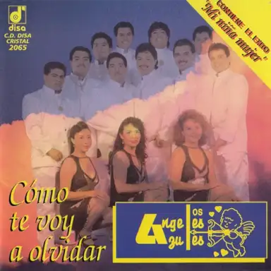 Cómo te voy a olvidar