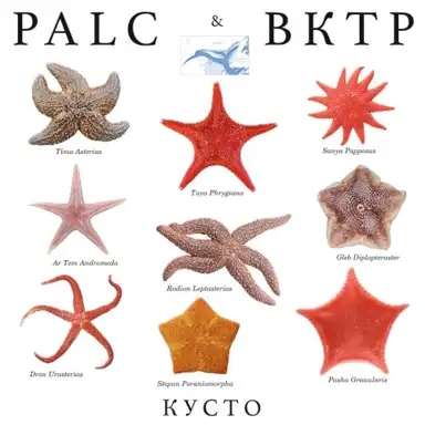 Кусто