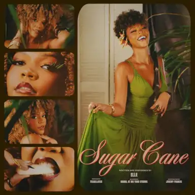 Sugar Cane