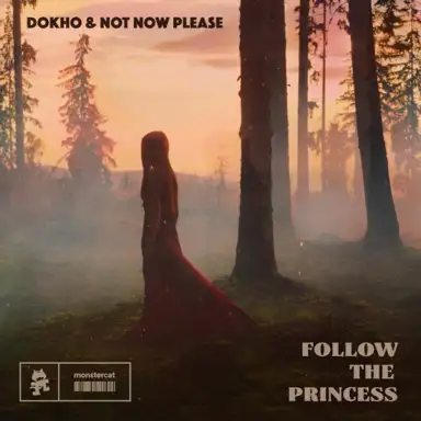 Follow the Princess