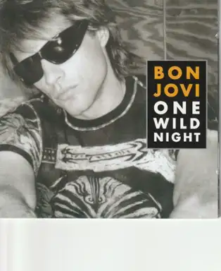 One Wild Night
