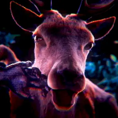 Dont Make A Move (99 Nights In The Forest Song)