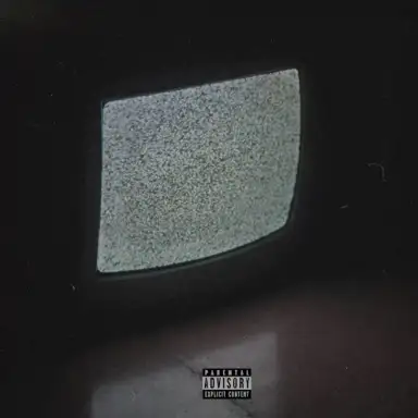 Vision