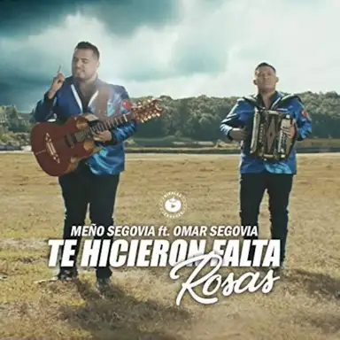 Te hicieron falta rosas
