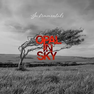 Instrumentals