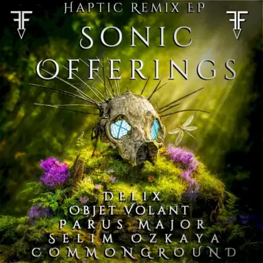 Sonic Offerings