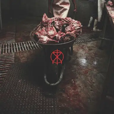 TORTURE PORN