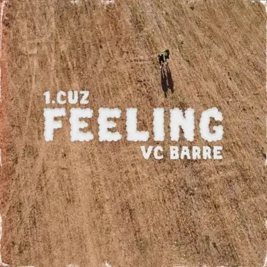 FEELING