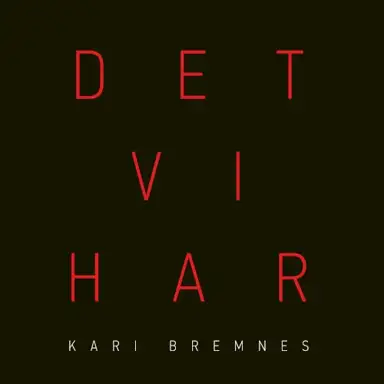 Det vi har