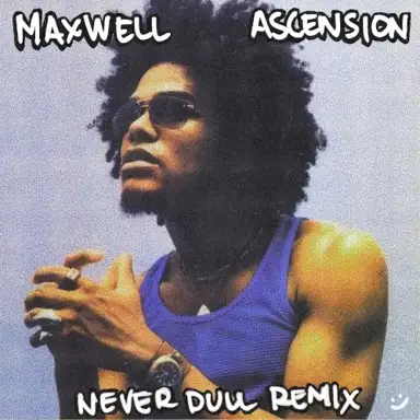 Ascension (Never Dull remix)