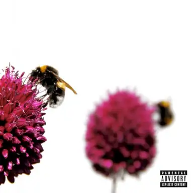 Bees