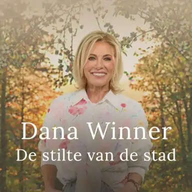 De Stilte Van De Stad