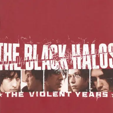 The Violent Years