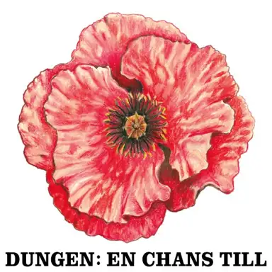 En chans till