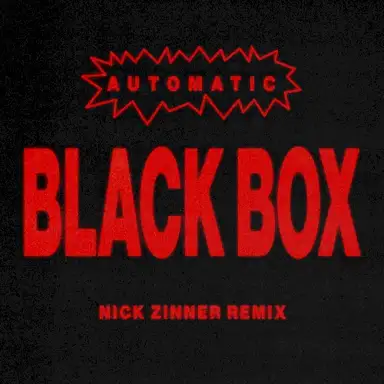 Black Box (Nick Zinner Remix)