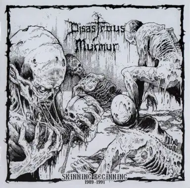 Skinning Beginning 1989 - 1991