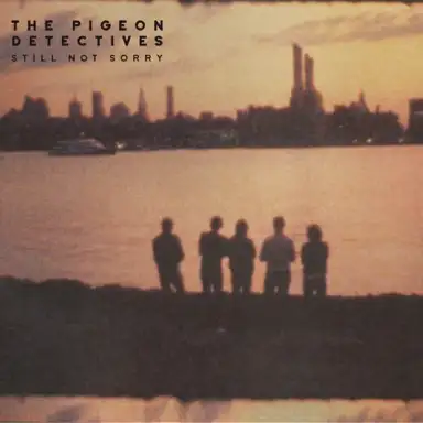 Still Not Sorry: The Best of The Pigeon Detectives