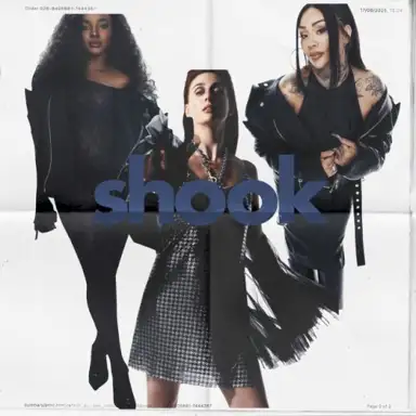 Shook
