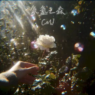 氤氲之森