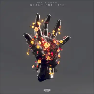 Beautiful Life