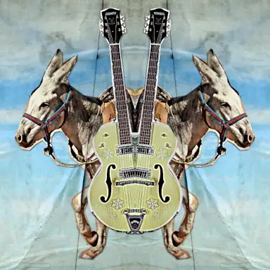 Stereo Donkey