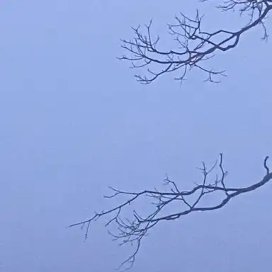 Permanence