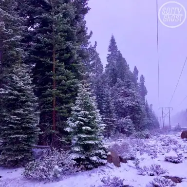 Snowy Sessions