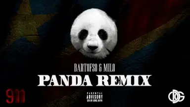 Panda Remix