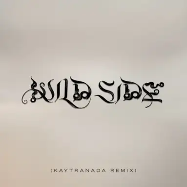 Wild Side (KAYTRANADA remix)