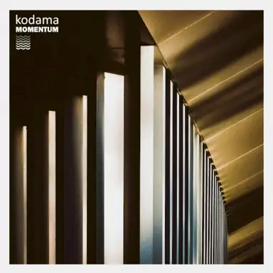Momentum LP